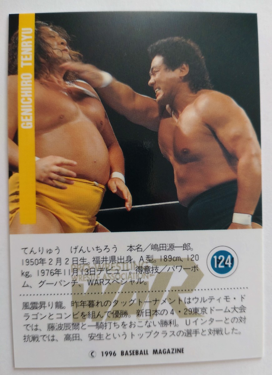 プロレスカード　1996年BBM 天龍源一郎_画像2