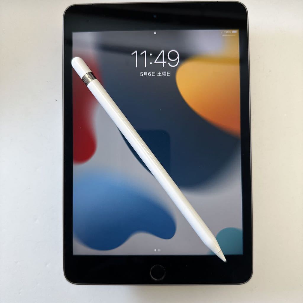 iPad Mini 第５世代256G セルラーSIMフリースペースグレイ純正ペン付き