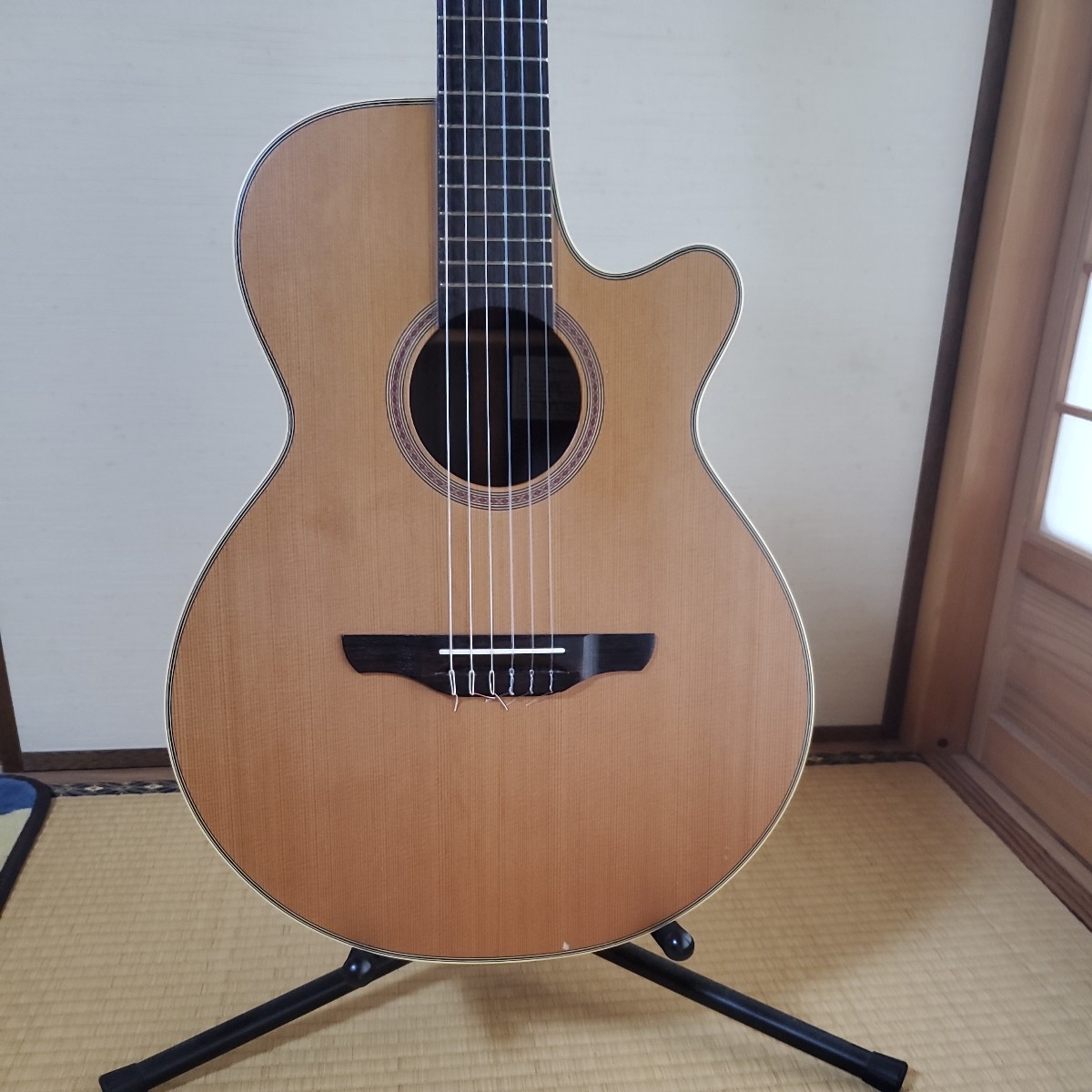 Takamine NPT 110N boussias.cy
