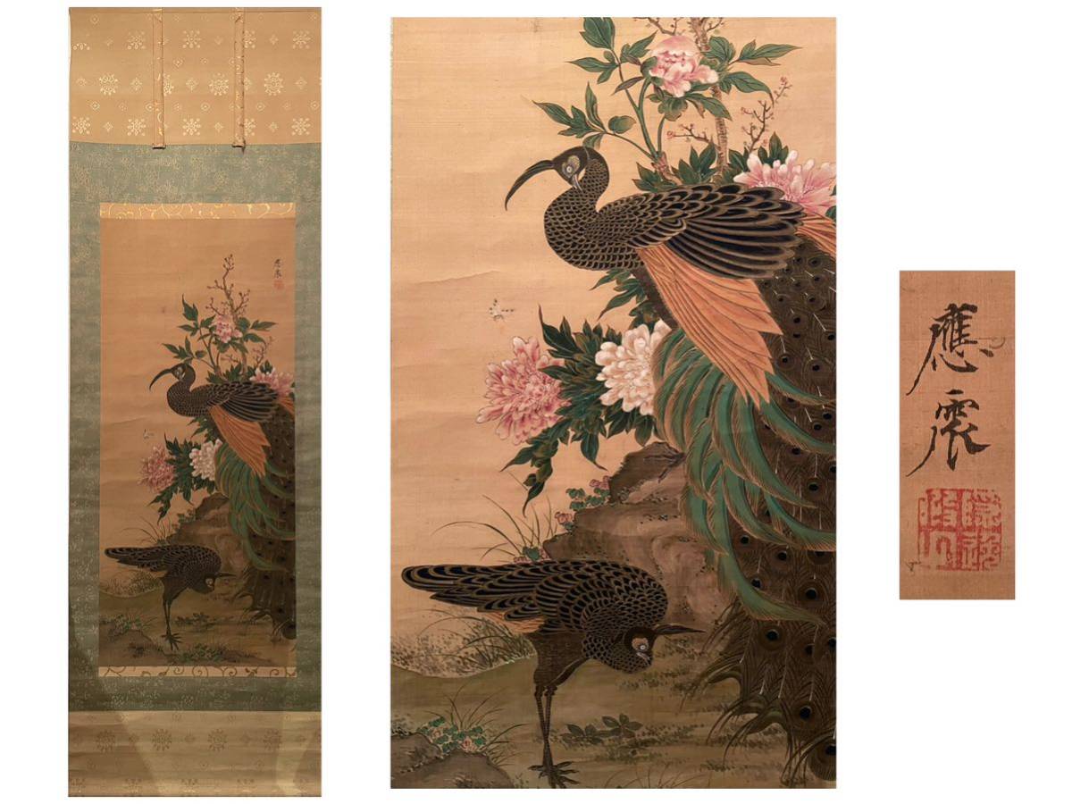 円山応震 双孔雀図 絹本 肉筆 掛軸 模写 花鳥図 日本画 T-2