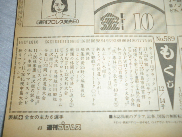 週刊プロレス　1993年　12/14　No.589　全女、女子プロ、パンクラス、船木、ジャイアント馬場、三沢、オブライト、ハンセン、川田、田上_画像3