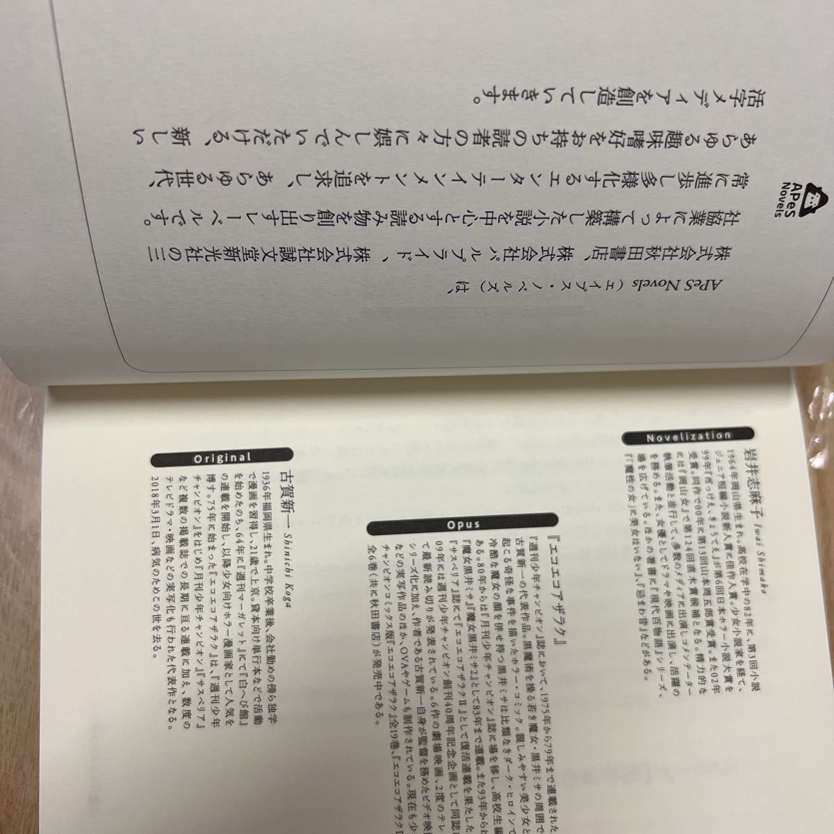 送料無料　岩井志麻子　小説エコエコアザラク_画像4