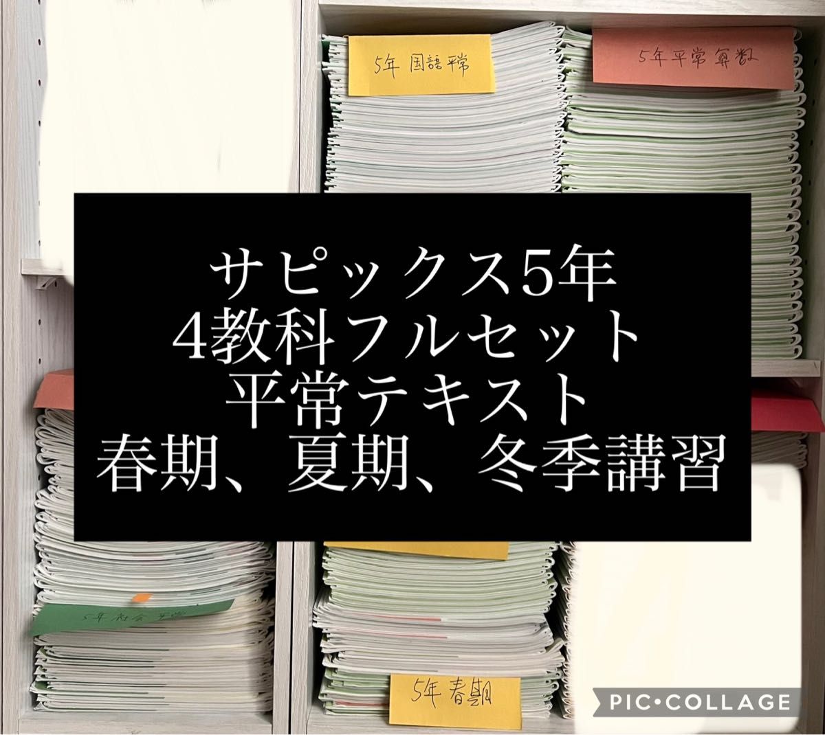 サピックス 五年四科目 平常 春期 夏期 ディリーチェック フルセット