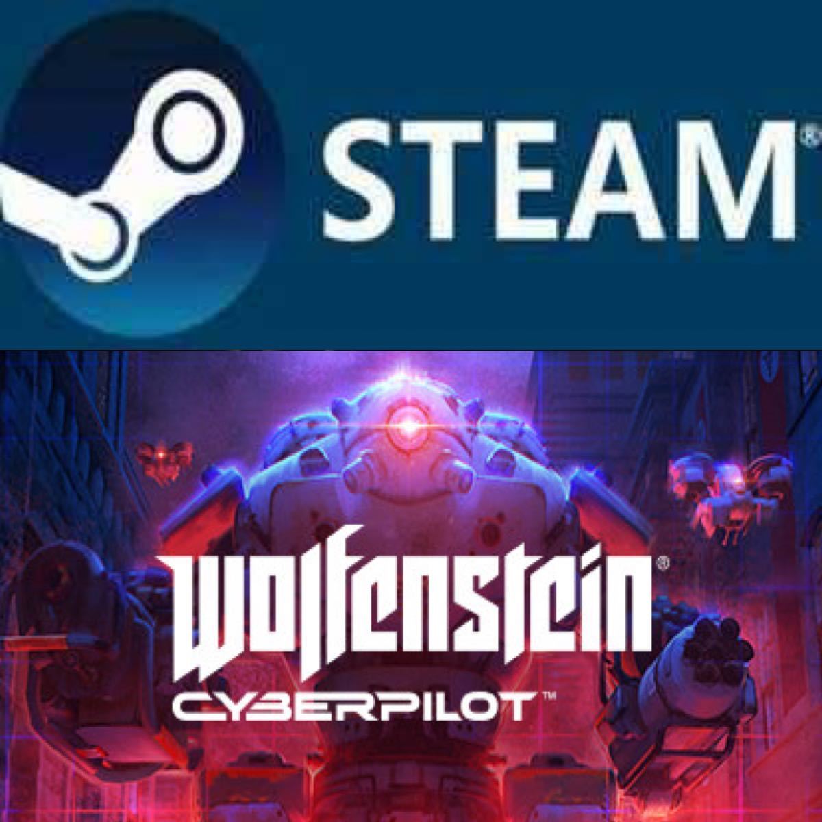 ウルフェンシュタイン： サイバーパイロット　Wolfenstein:Cyberpilot 日本語対応 PC STEAM コード 安心保証_画像1