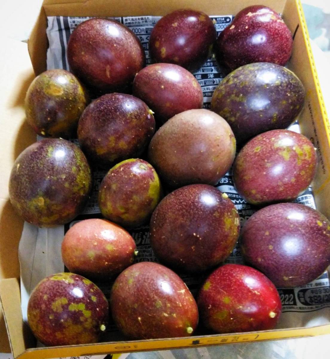 10⑤大人気！無農薬 沖縄産パッションフルーツ 果物