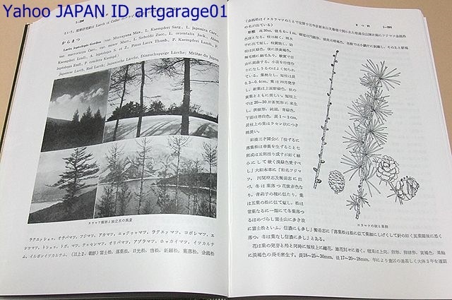  tree large map opinion *.. also 4 pcs. / Uehara . two /164.* approximately 1600.* approximately 1 ten thousand . close kind * change kind * goods kind . compilation . Japan production. tree book@ plant. large part . main . foreign product tree . contains 