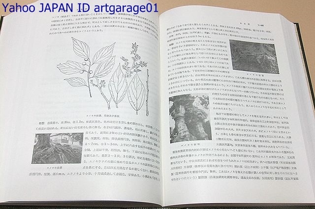  tree large map opinion *.. also 4 pcs. / Uehara . two /164.* approximately 1600.* approximately 1 ten thousand . close kind * change kind * goods kind . compilation . Japan production. tree book@ plant. large part . main . foreign product tree . contains 