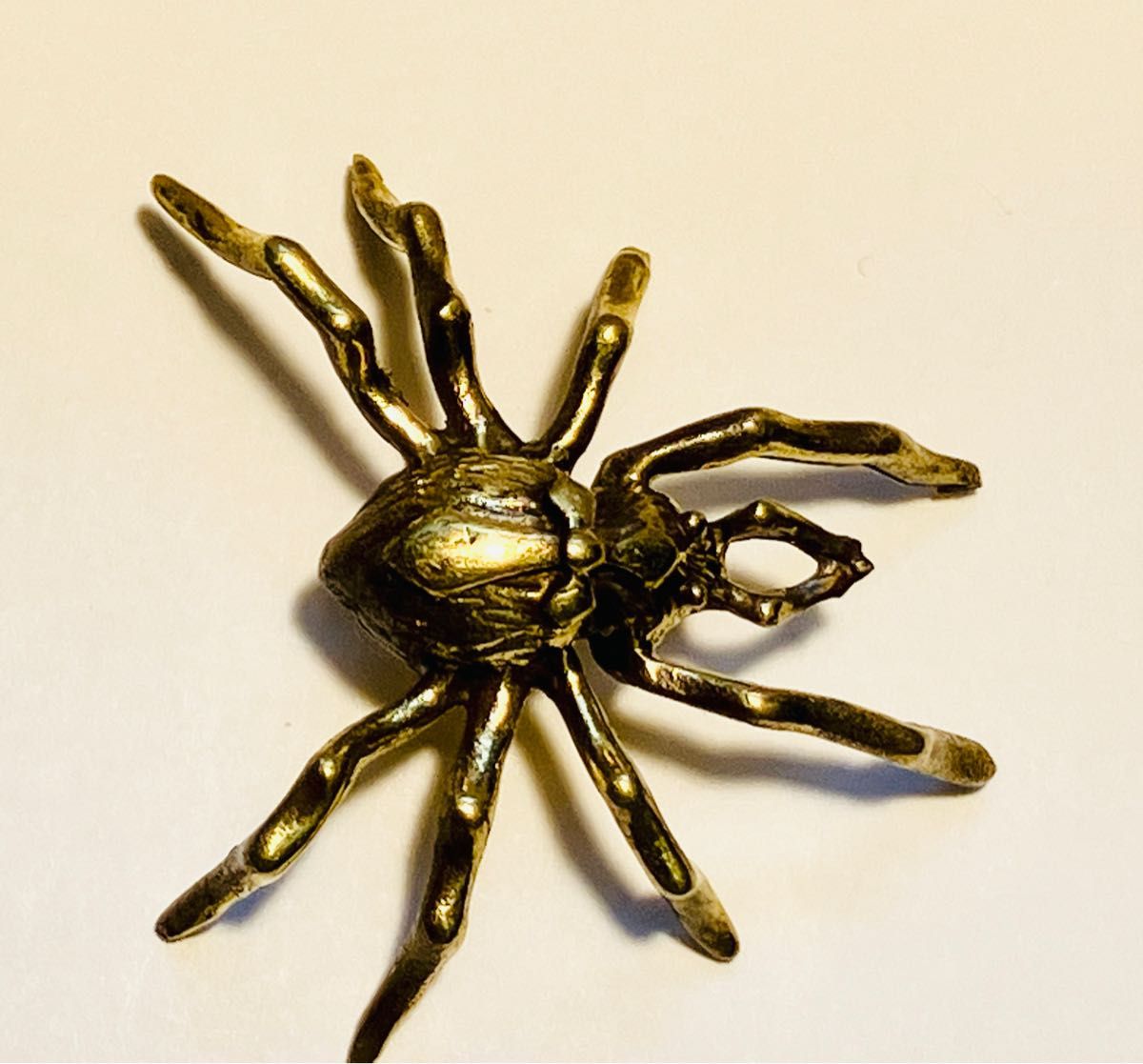 毒蜘蛛タランチュラ　　幸運や夢を掴む　真鍮製