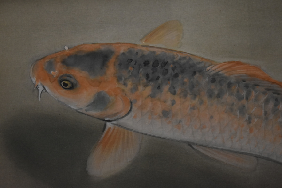 オススメ日本画作品! 玲法 12号大 「錦鯉」 正光画廊(花鳥、鳥獣