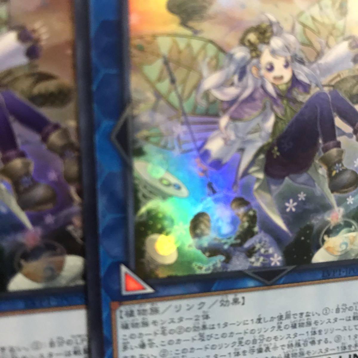 新着セール新着セール遊戯王アロマデッキ40枚 遊戯王 | blog