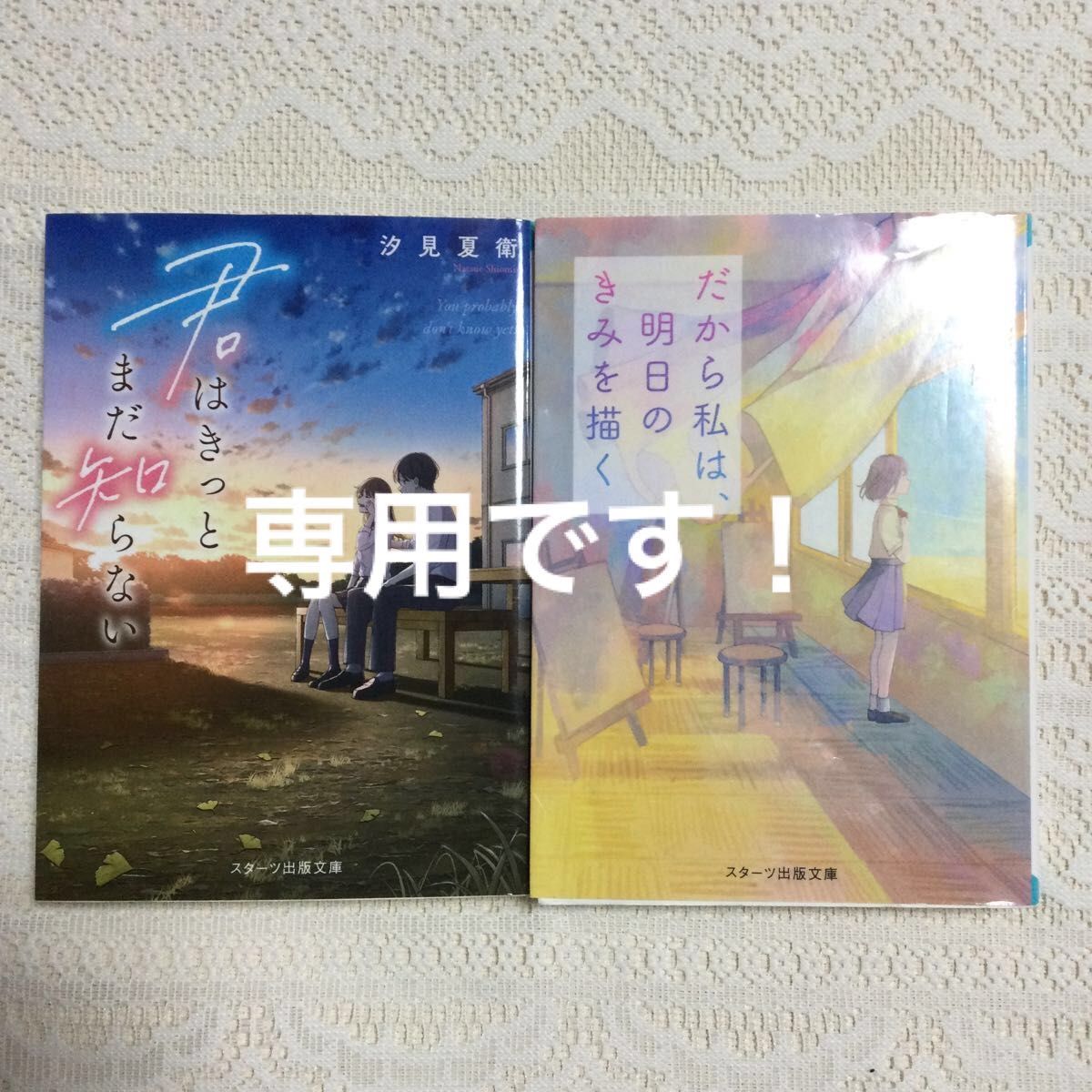 専用 君はきっとまだ知らない 汐見夏衛だから私は 明日のきみを描く