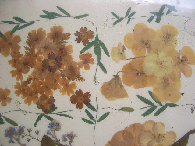 [100 иен ~ засушенный цветок рама искусство картина . цветок . цветок сухой цветок /144