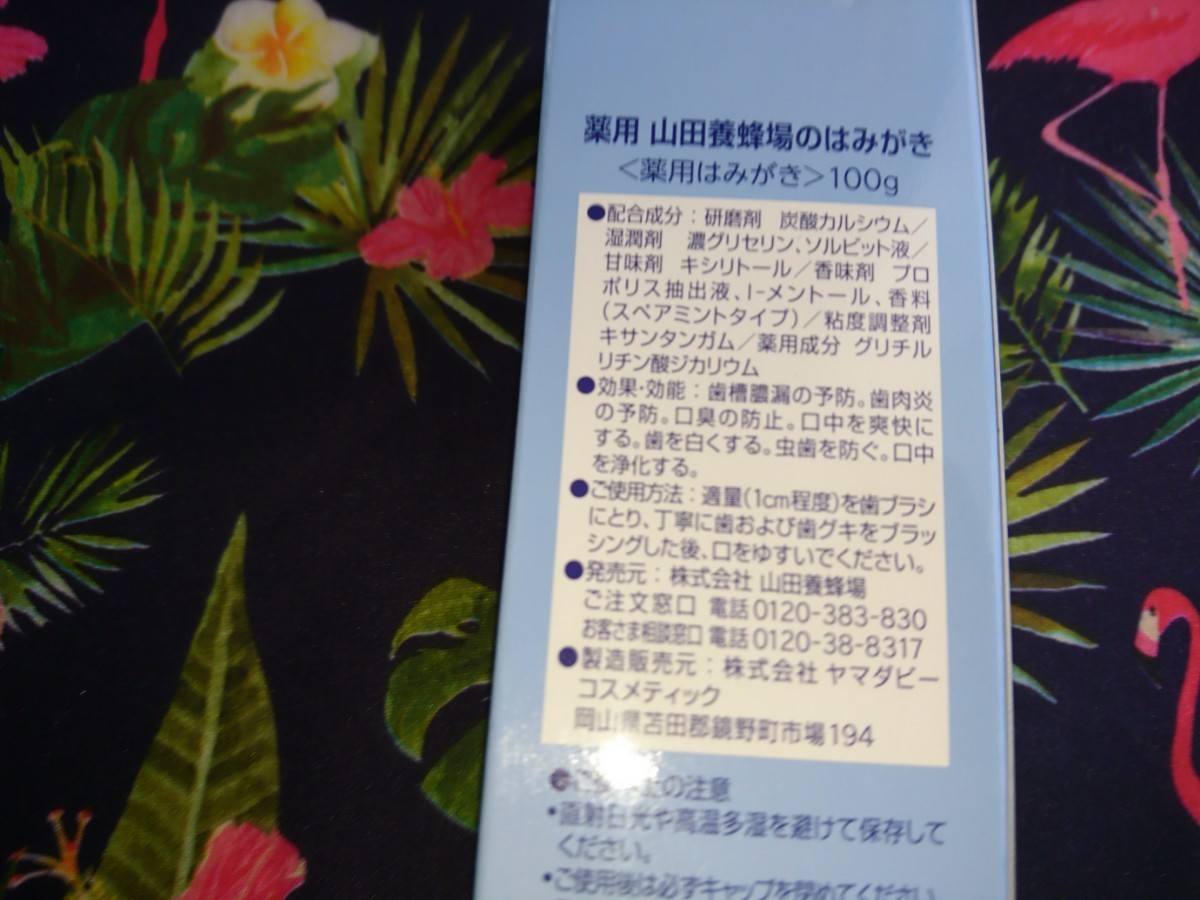 74%以上節約 新品 医薬部外品 ナチュラル 歯磨き粉 ACIC アシック