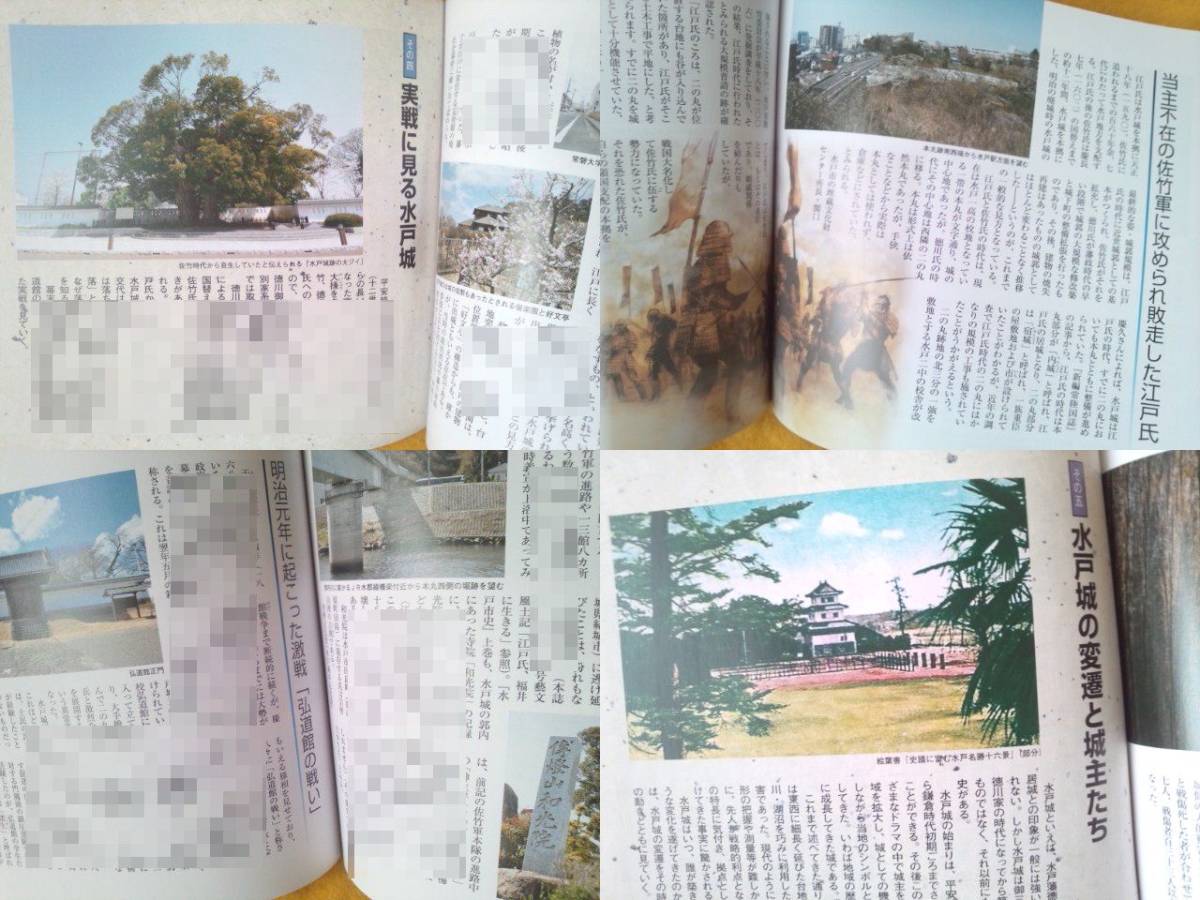 [ тщательный анатомия, Mito замок ]... документ замок . строительство земля форма земля .. Mito . Edo времена журнал история Ibaraki префектура 