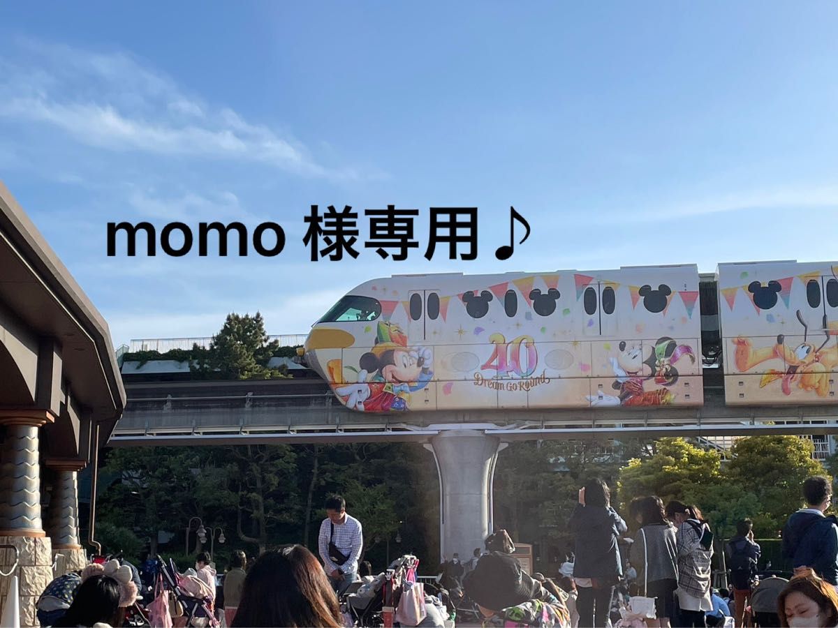 momo 様専用です|Yahoo!フリマ(旧PayPayフリマ)