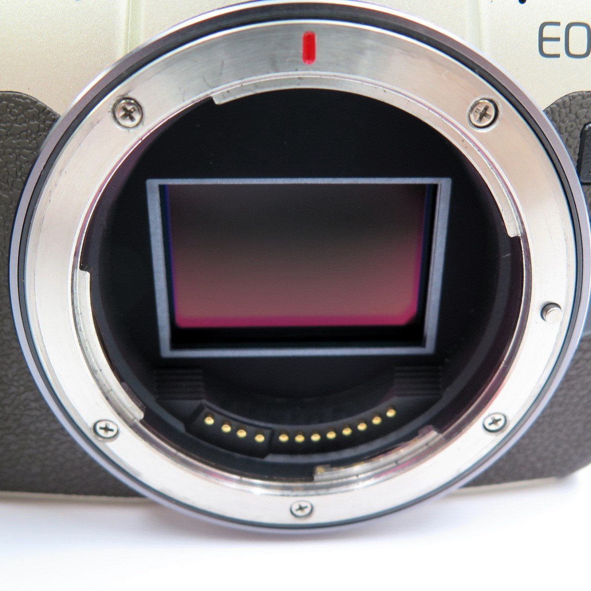 1円~ キヤノン EOS RP ミラーレス一眼カメラ ボディのみ 他 箱付
