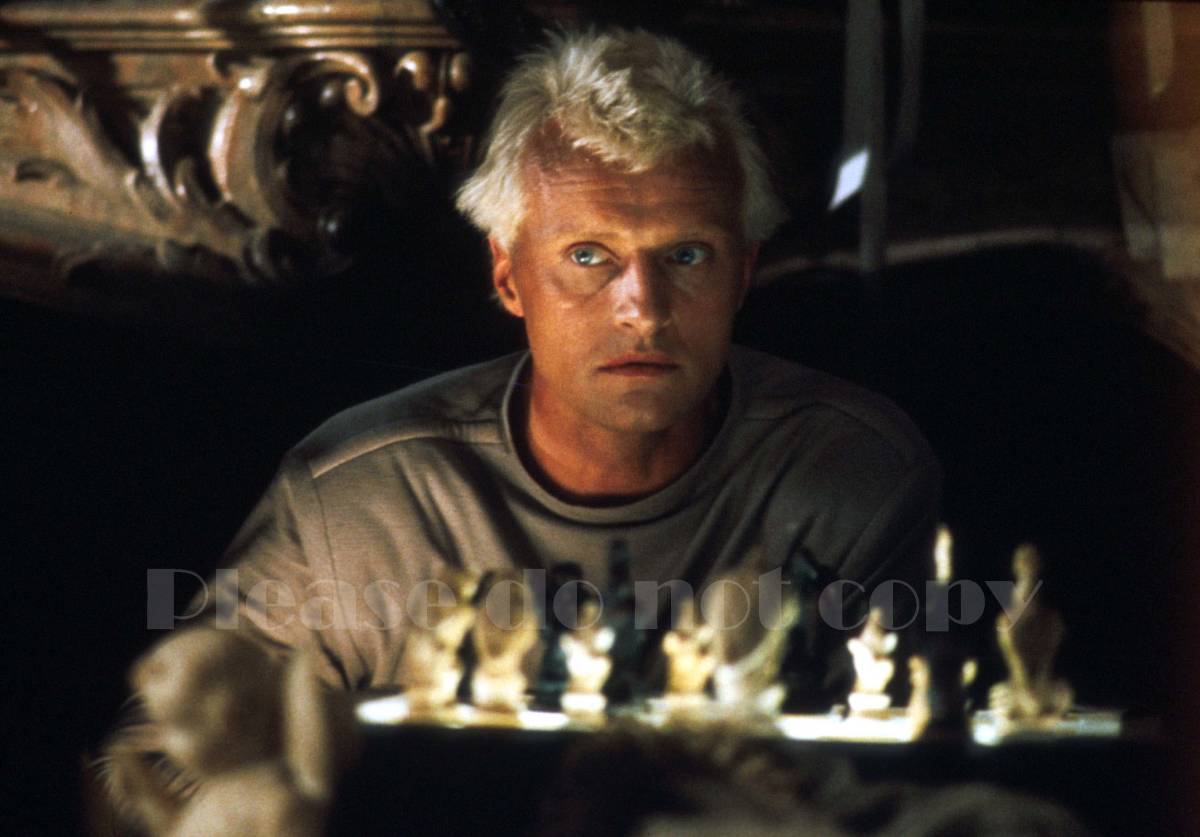 1982年　映画　Blade Runner　レプリカント　ブレードランナー Rutger Hauer ルトガー・ハウアー サイン フォト，他、1枚写真付き_画像2