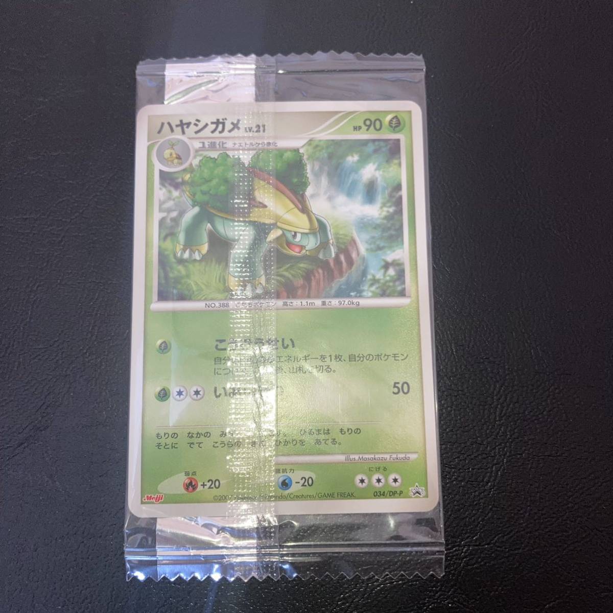 05-07 同梱可 ポケモンカード ハヤシガメ Meiji プロモ 商品説明必読