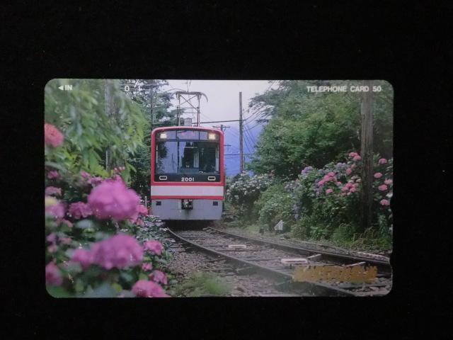 ≪テレホンカード≫箱根登山鉄道「あじさい電車」50度数☆f14_画像1