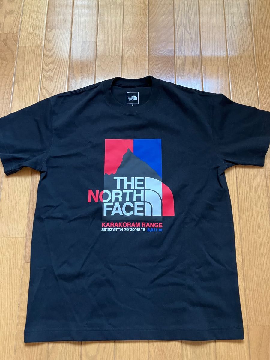 THE NORTH FACE ザノースフェイス 半袖Tシャツ　メンズ　M