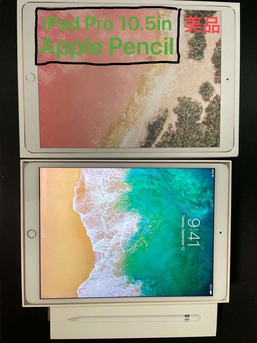 極美品】【iPad&Appleペンシル第一世代】iPad Pro 10 5インチ 第一世代
