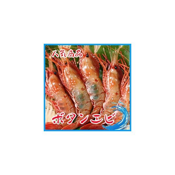  Botan shrimp 1kg.. sea .