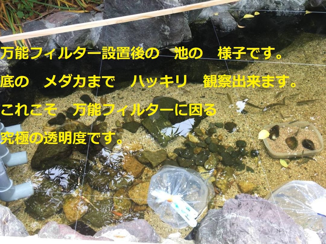 期待を 裏切らない 究極の濾過槽 サンドフィルタータワータイプ 2トン