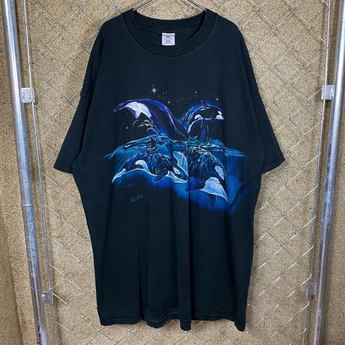 FRUIT OF THE LOOM 90s プリントTシャツ フルーツオブザルーム USA製 アニマルTシャツ 古着 メンズライク