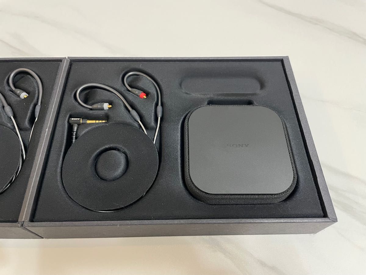 SONY IER-M9 イヤホン ソニー | noonanwaste.com