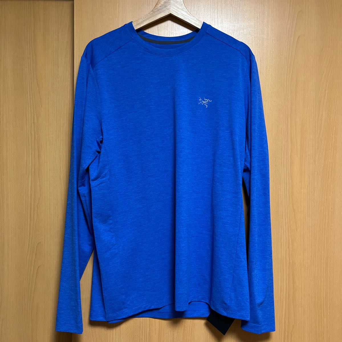 ARC'TERYX アークテリクス　Cormac Crew LS Mens 長袖　カットソー　メンズ　Mサイズ　ブルー　ロゴ入り