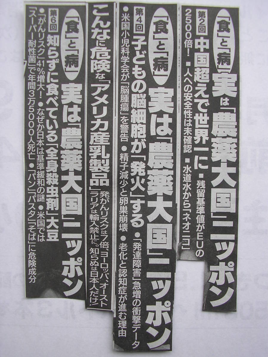 無農薬の赤シソ赤しそ抜き苗10～20cm前後5株/カリカリ梅や梅干し作りシソジュースふりかけ和のハーブ自給自足ガーデニング家庭菜園_人の身体は食べた物から出来てます