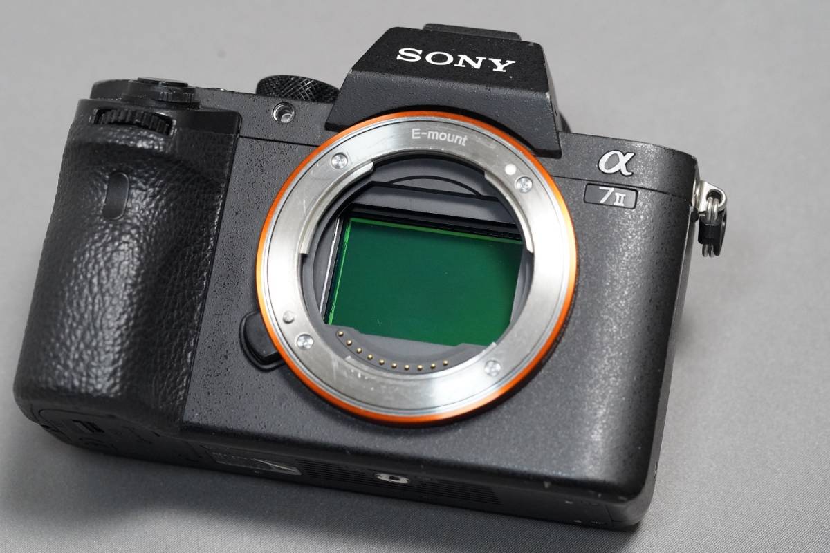 ソニー SONY - sony a7ii ILCE−7M2 バッテリー2個 2個同時充電器の
