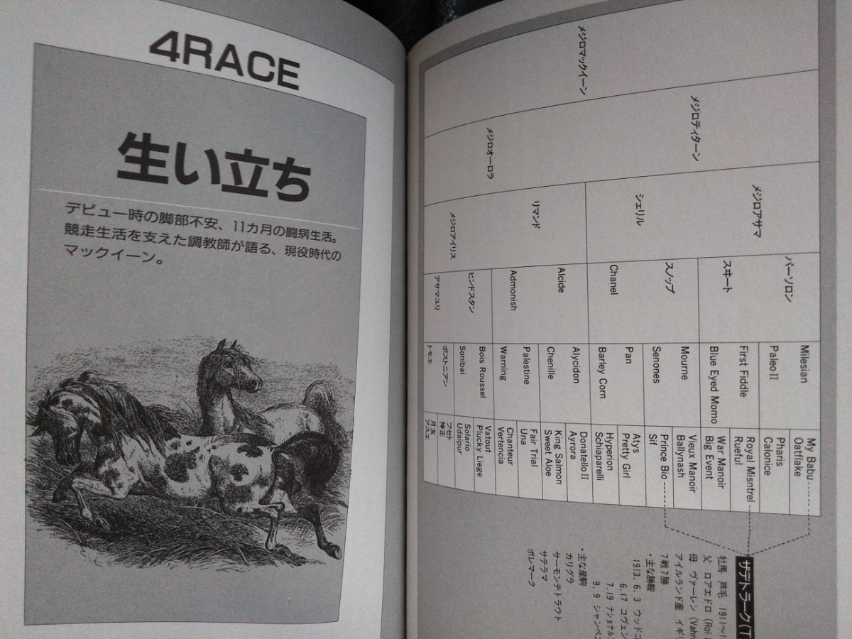 名馬列伝【メジロマックイーン】ライバル●生い立ち●全成績●データ 他…資料集●初版・帯付き/希少本_画像9