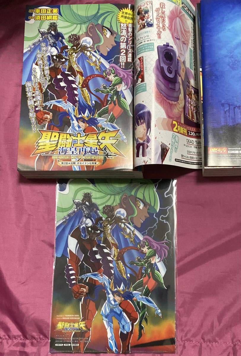 聖闘士星矢 海皇再起 1~3話掲載 チャンピオンRED 2023年3月号 6月号 付録 クリアファイル 魂ネイション 来場者特典冊子 車田正美 須田綱鑑 3