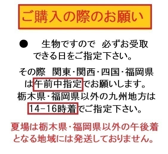 和金1キロ　　和金　金魚　餌金　エサ金　_画像2