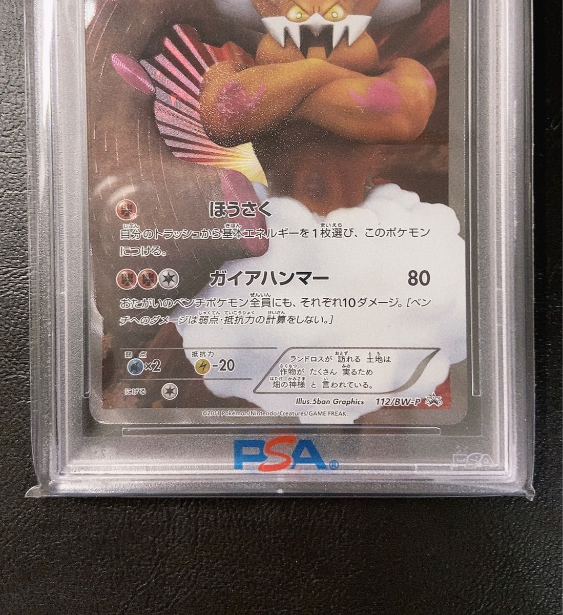 ◇ポケモンカード◇ ランドロスEX プロモ(112/BW-P)◇トルネロスEX SR(BW8 054/051)◇PSA8 セット