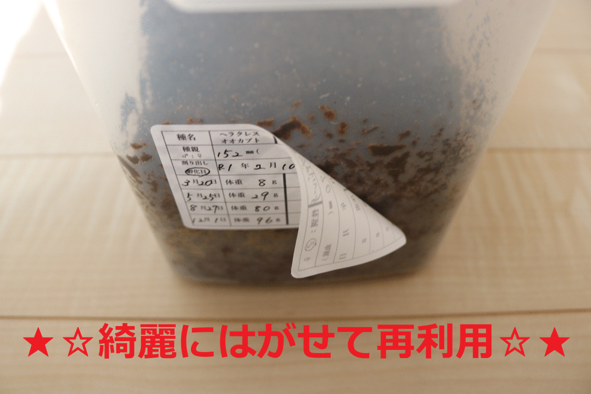 * oo stag beetle organism for control label * organism label 1 seat 10 surface ×3 seat 