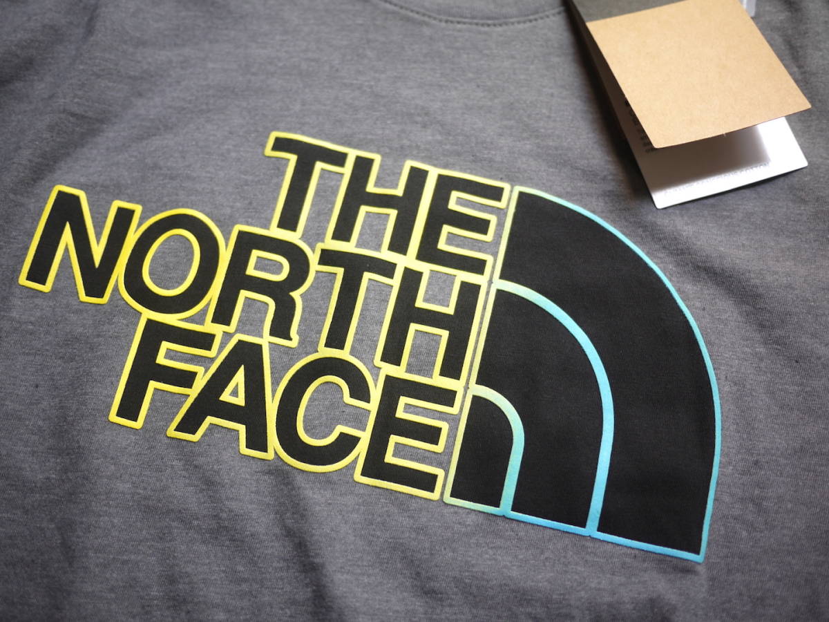 2023最新 US購入 新品 XXL/ノースフェイス グラフィック ハーフドーム 半袖 Tシャツ THE NORTH FACE NOV GRAPHIC TEE グレー / 6の画像3