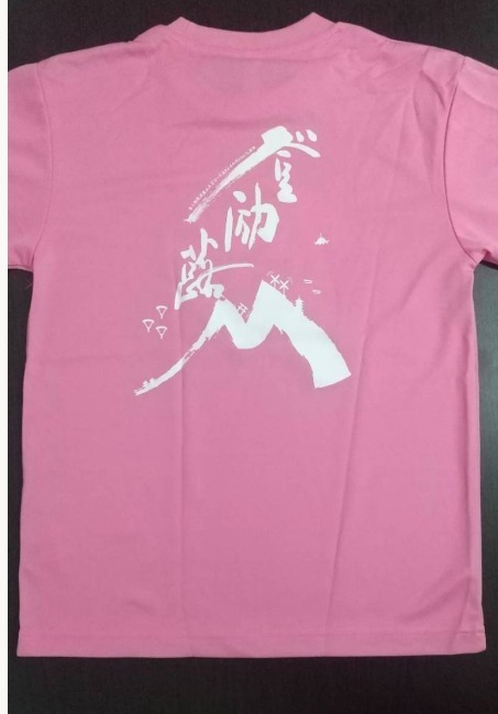 第3回筑波連山天空ロード＆トレイルランinいしおか 完走Tシャツ マラソン ランニング 参加賞 未使用 Sサイズ 筑波連山 ジョギング_背中