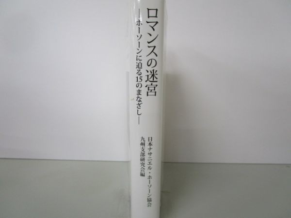 ロマンスの迷宮―ホーソーンに迫る15のまなざし k0505-jd5-ba230030_画像2