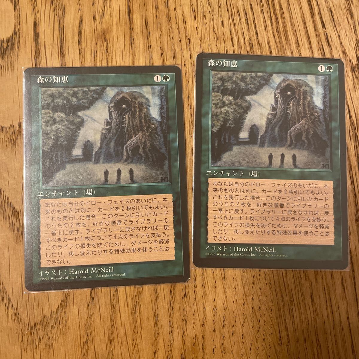 MTG 森の知恵 2枚 日本語版 | noonanwaste.com