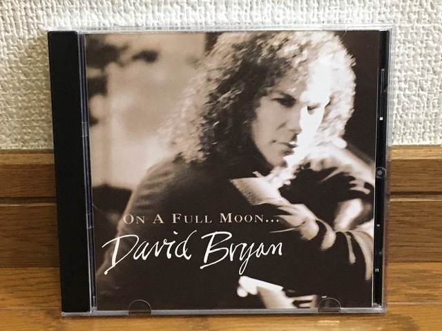 David Bryan / On a Full Moon ピアノソロ アコースティック インスト集 傑作 国内盤 廃盤CD 15曲収録 解説付 Bon Jovi / Richie Samboraの画像1