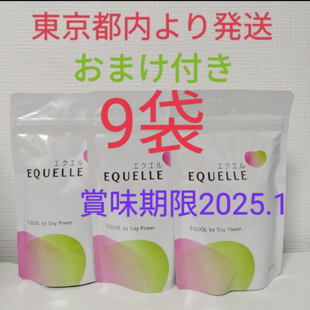 大塚製薬エクエル 120粒 6袋セット エクエル 賞味期限2025.1月