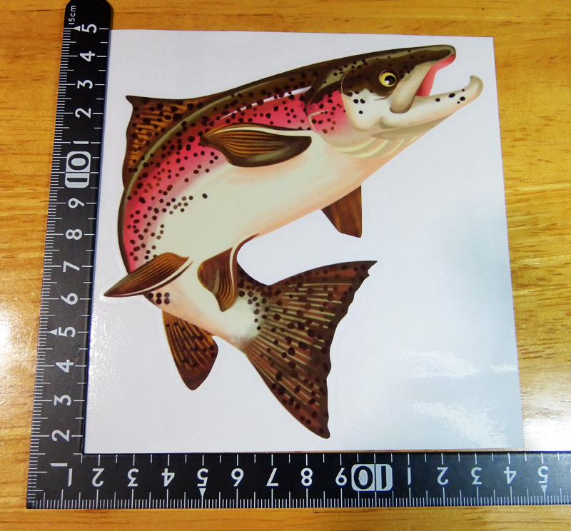 niji форель стикер 13×13(cm) Ra01 [ Rainbow форель шерсть игла рыбалка рыба ]