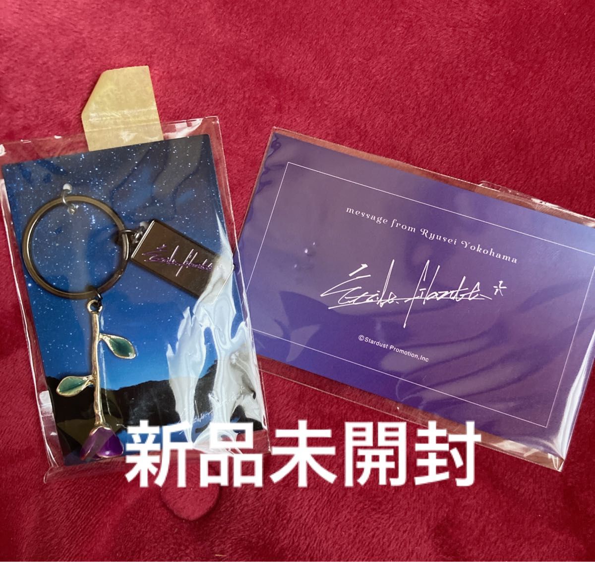 横浜流星 キーホルダー|Yahoo!フリマ(旧PayPayフリマ) 横浜流星 キーホルダー|Yahoo!フリマ(旧PayPayフリマ)