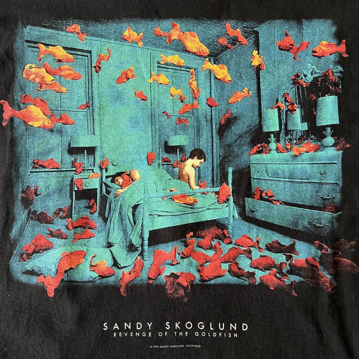 最新 超希少 ほぼデッド Sandy Skoglund vintage USA製 Tシャツ