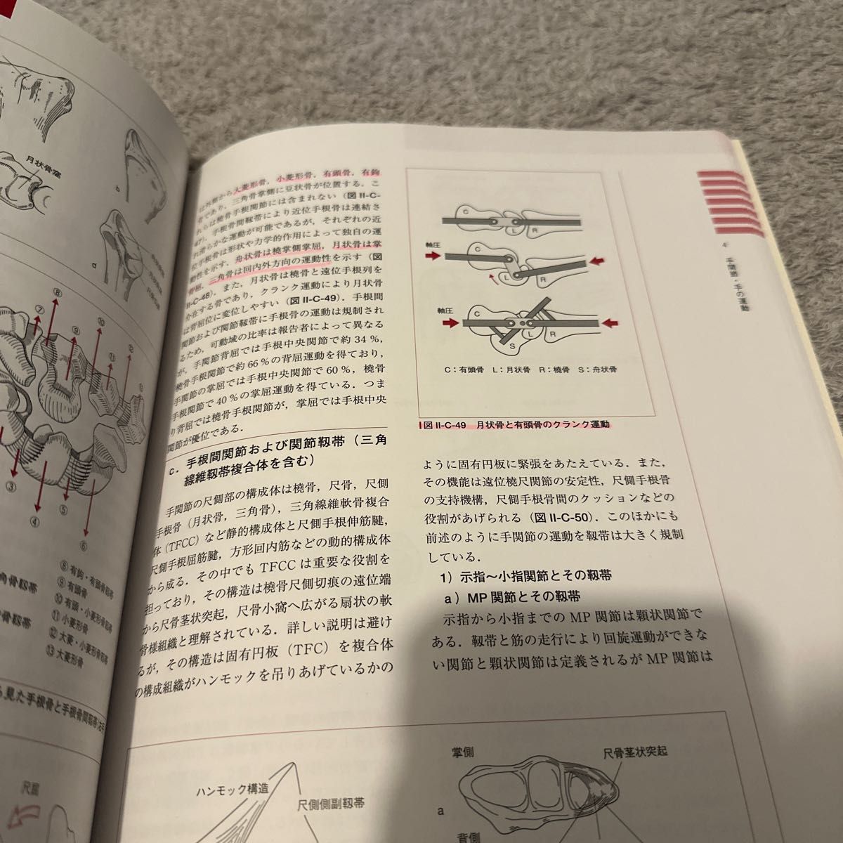 公認アスレティックトレーナー専門科目テキスト②運動器の解剖と 公認アスレティックトレーナー専門科目テキスト②運動器の解剖と