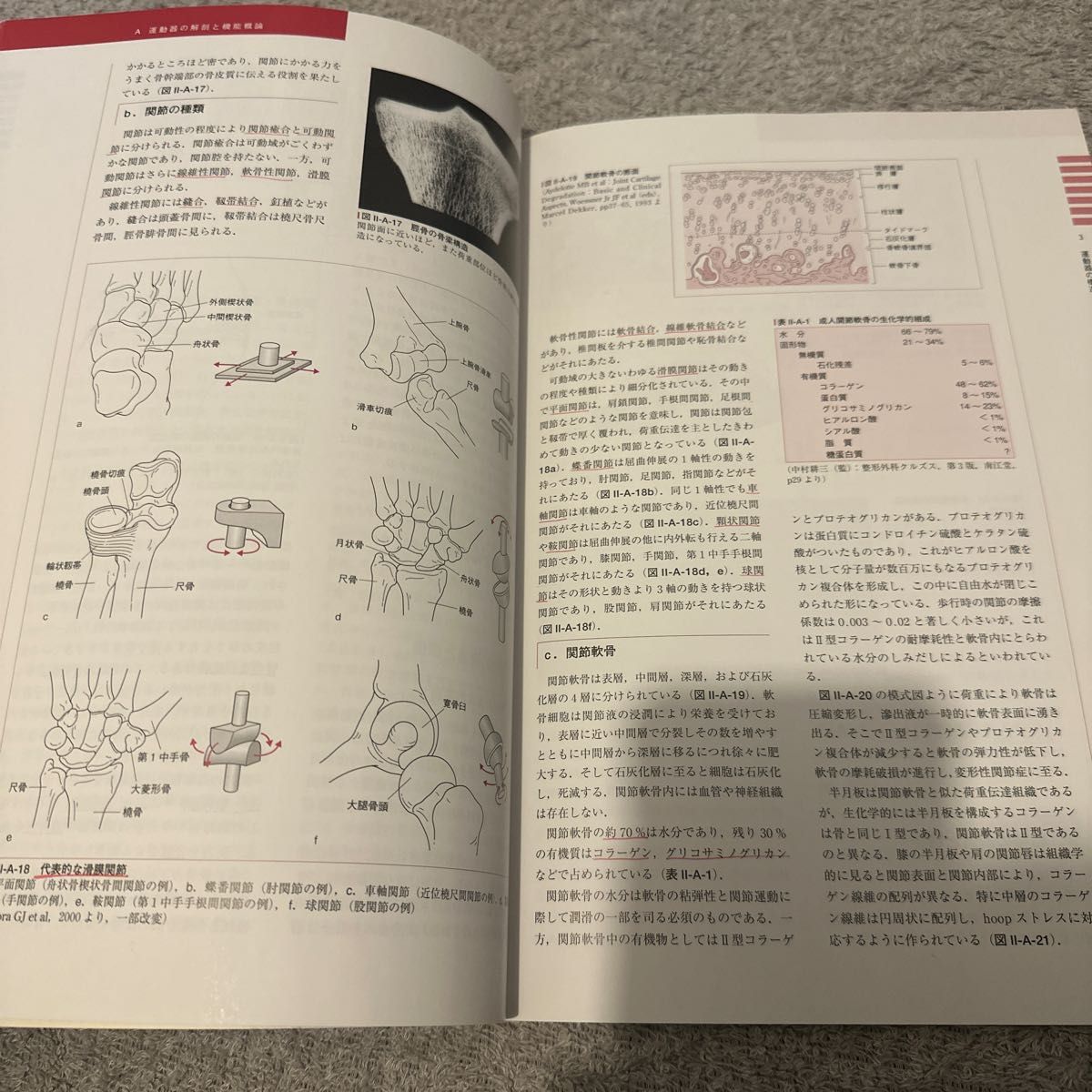 公認アスレティックトレーナー専門科目テキスト②運動器の解剖と機能