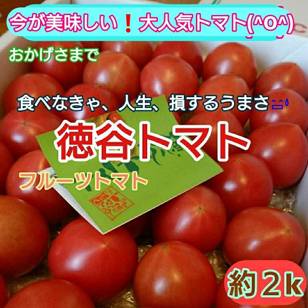 高知県産 徳谷トマト フルーツトマト 送料無料 約2kg  たっぷり食べたい方へ、送り物にも(^^)