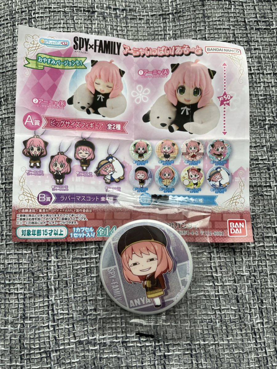 [ postage 120 jpy ~]SPY×FAMILYa-nya. fully!..-. can badge a-nya(E) Spy Family 